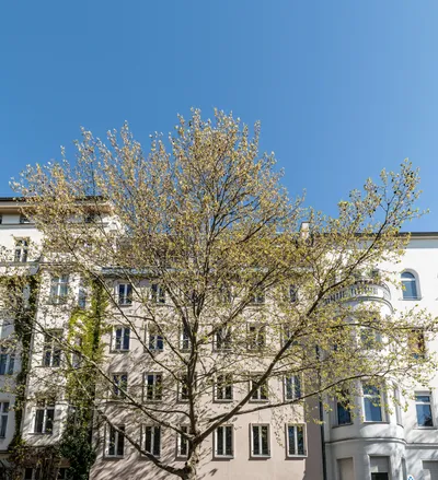 DSC00004 (1)
