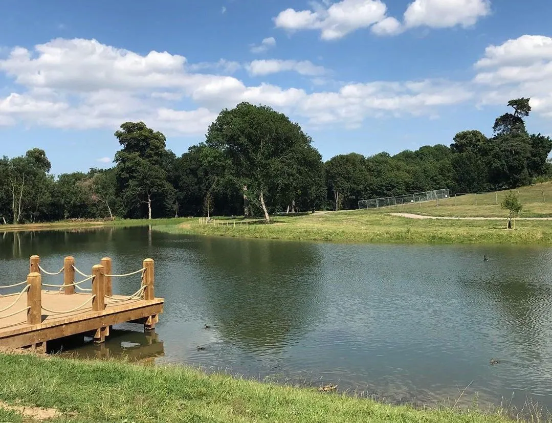Beckenham Place Park Swimming Lake. Image from Metro.