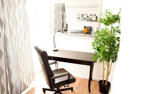 1 Bedroom — Large
