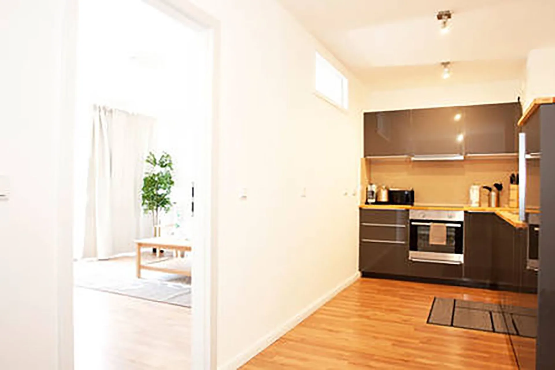 1 Bedroom — Medium