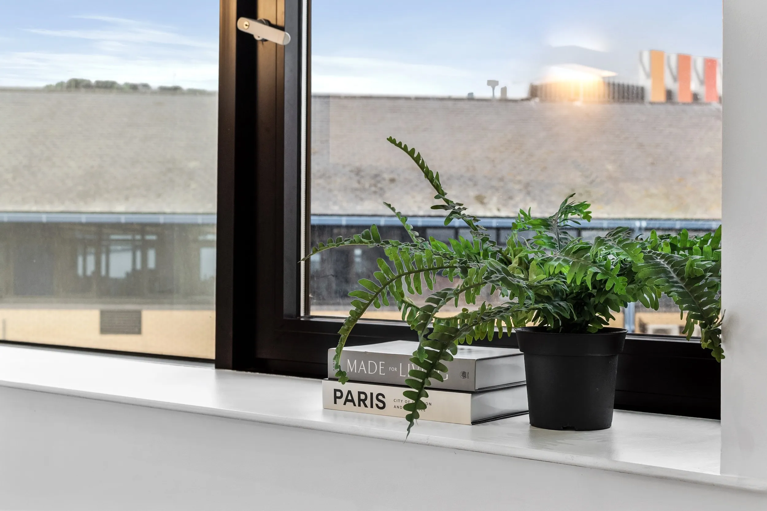 Window sill with plant and books at Vonder Skies