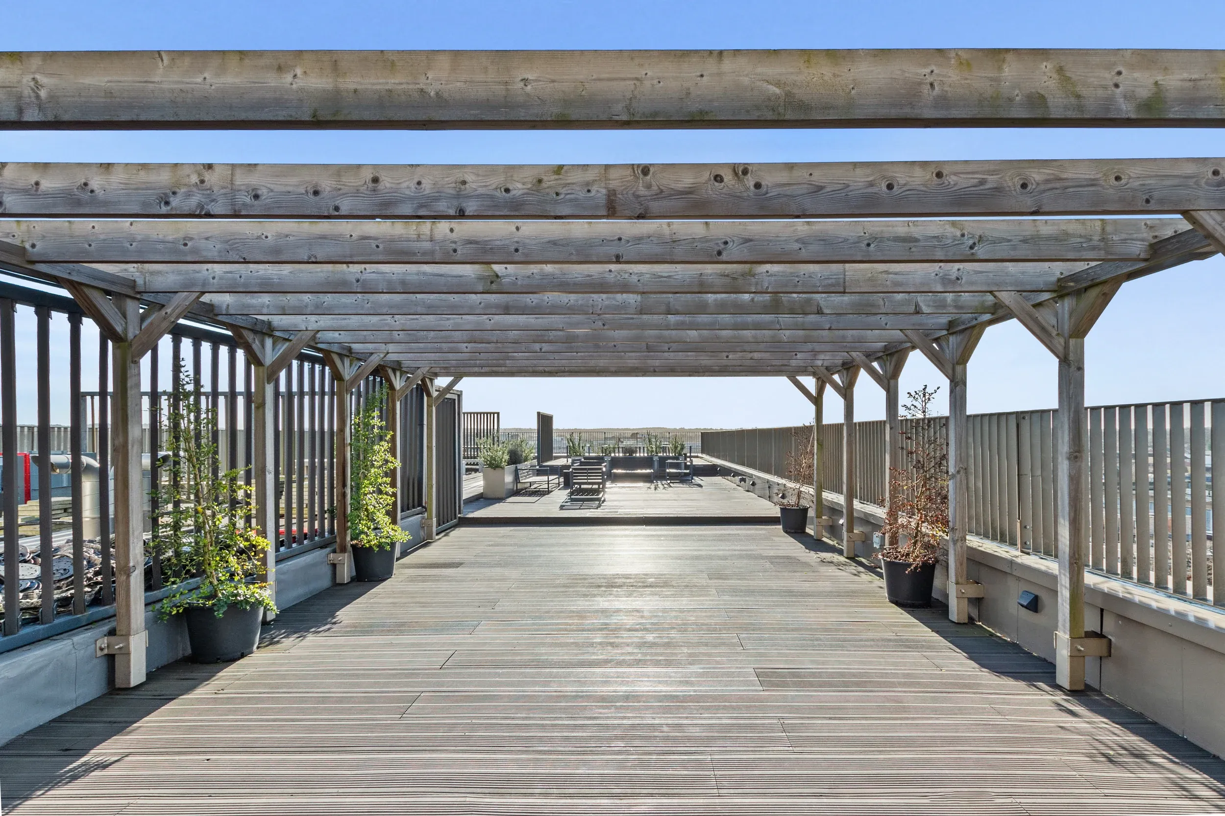Roof terrace at Vonder Crawley, with a timber pergola running the length of the deck
